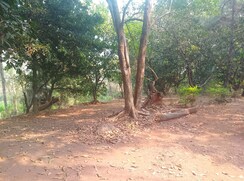 Plot For Sale in Chanje