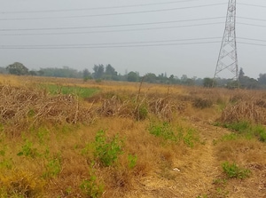 Plot Area in  Land at Jasai – for Sale