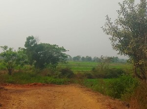 Plot Area in  Land at Jasai – for Sale