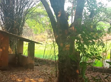  Land For Sale in Jasai