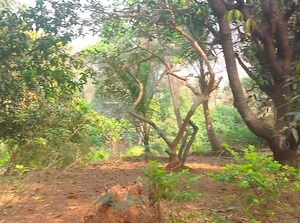  Plot – Garden View at Sukapur - for Sale