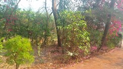 Plot For Sale in Sukapur