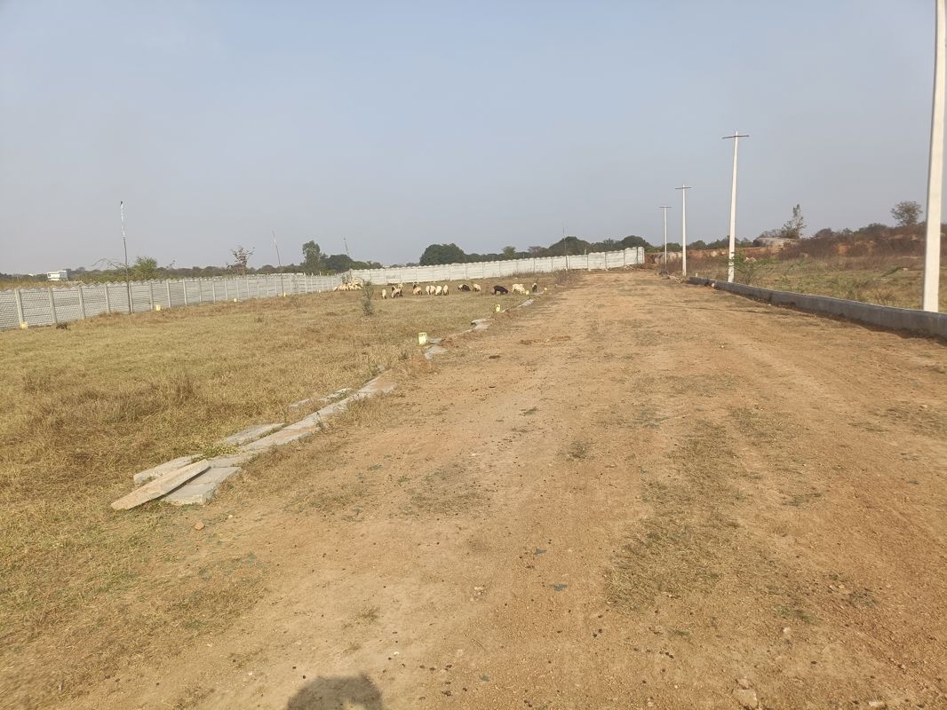 Plot For Sale in Shadnagar