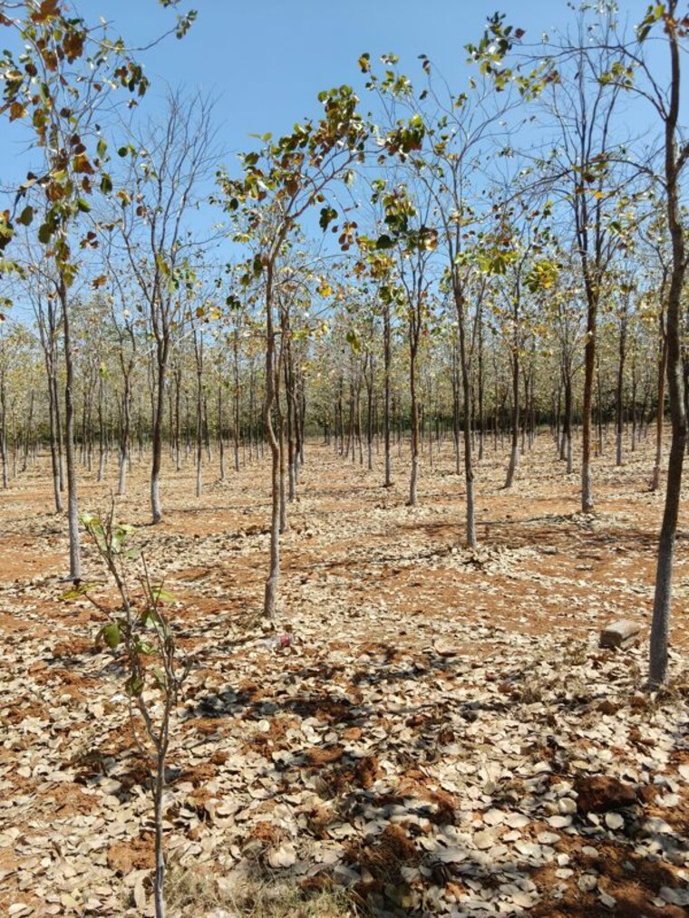 undefined, markapur  1062 Sq.Yd. Plot In Markapur Hyderabad 10103558