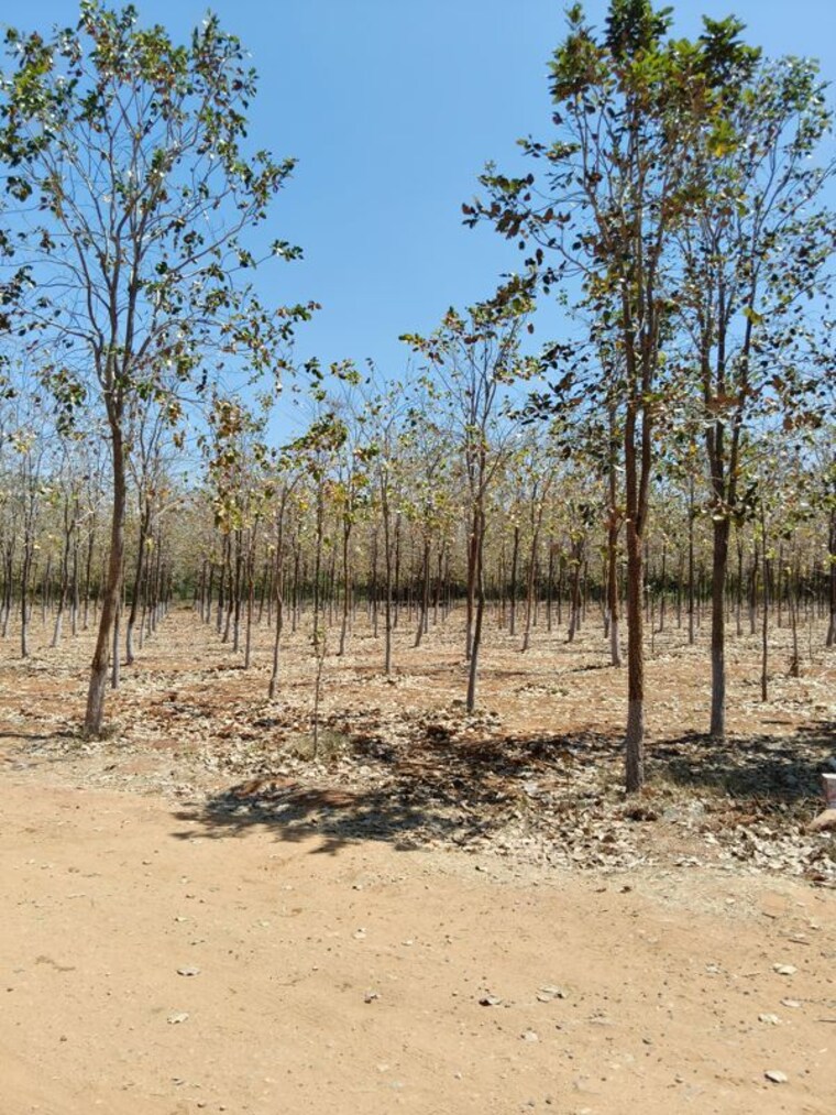 undefined, markapur  1062 Sq.Yd. Plot In Markapur Hyderabad 10103558