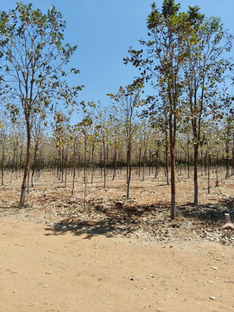 undefined, markapur  1062 Sq.Yd. Plot In Markapur Hyderabad 10103558