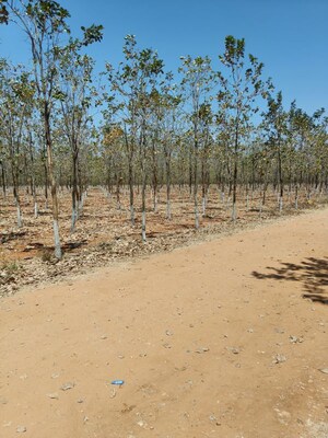 Plot Area in  Plot at Markapur – for Sale