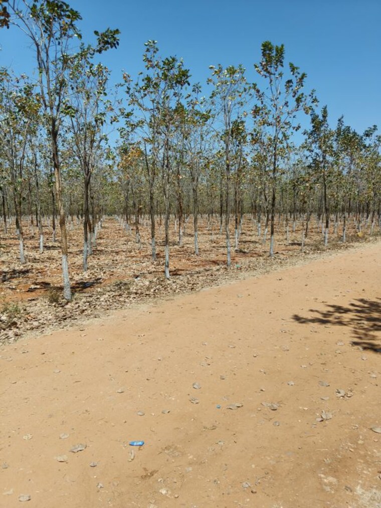 undefined, markapur  1062 Sq.Yd. Plot In Markapur Hyderabad 10103558