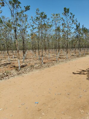  Plot For Sale in Markapur