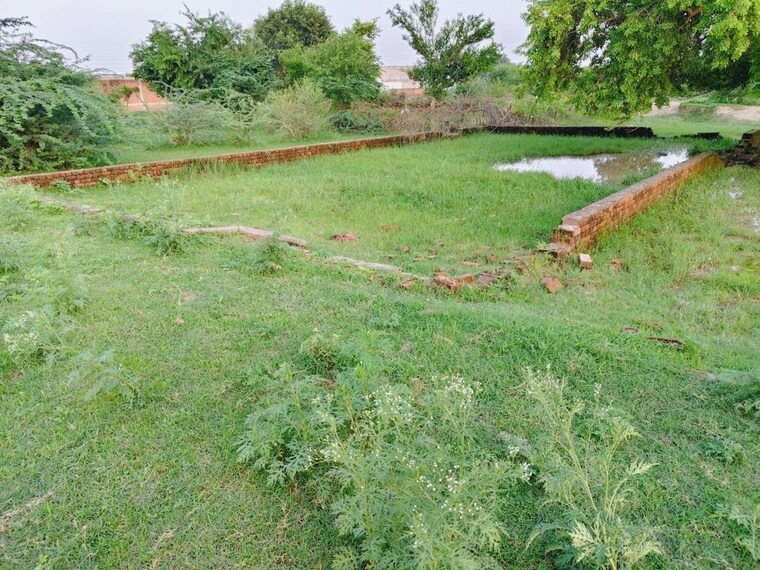 Garden, jankipuram extension  1002 Sq.Ft. Plot In Jankipuram Extension Lucknow 10103598