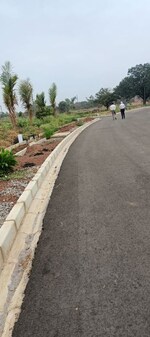 245 Sq.Yd. Plot in Fortune Butterfly City