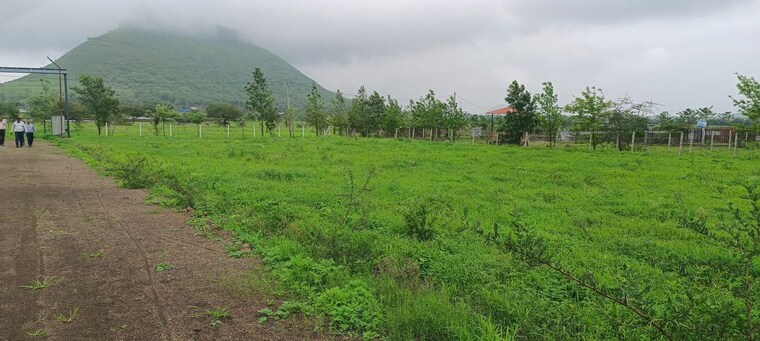 undefined, peth road  15 Sq.Yd. Plot In Peth Road Nashik 10104707