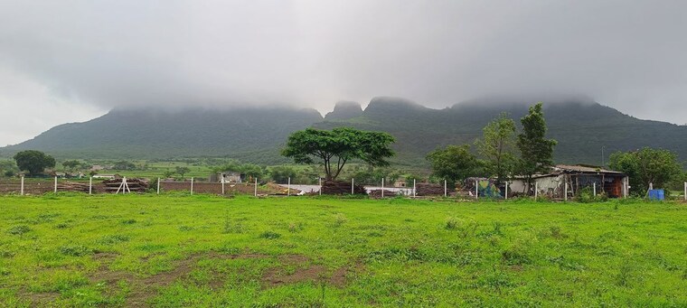 undefined, peth road  15 Sq.Yd. Plot In Peth Road Nashik 10104707