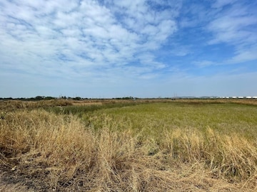  Plot For Sale in Panvel