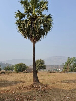 Plot Area in  Plot at Karjat – for Sale