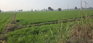 Plot Area in  Plot at Phase 4 – for Sale