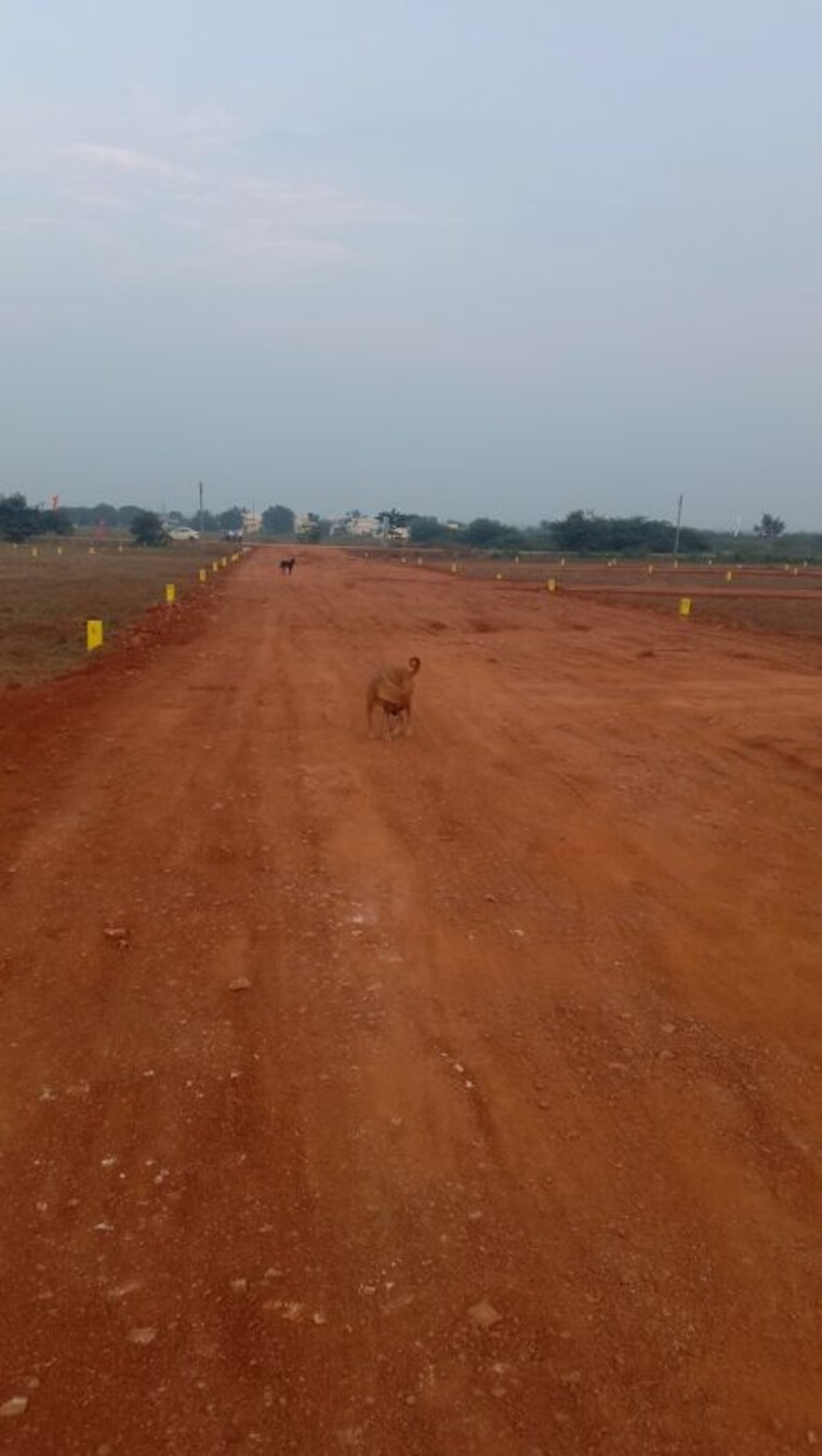 undefined, keshampet  165 Sq.Yd. Plot In Keshampet Hyderabad 10105373