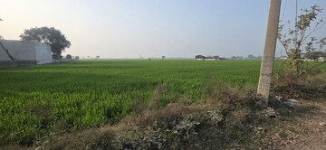 Plot Area in  Plot at Phase 4 – for Sale