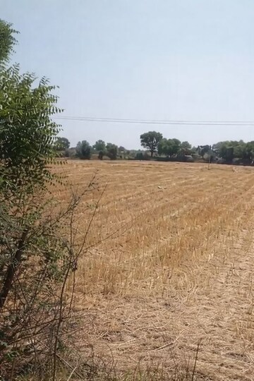  Land For Sale in Pataudi