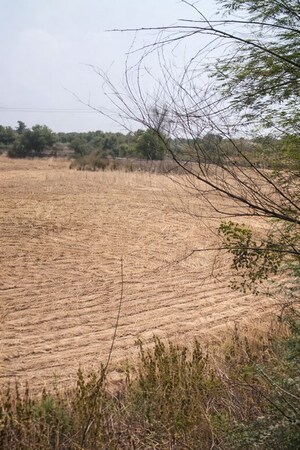 Plot Area in  Land at Pataudi – for Sale