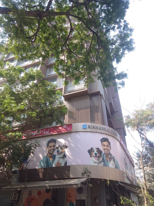 2 BHK Apartment For Rent in H Rishabraj Percy