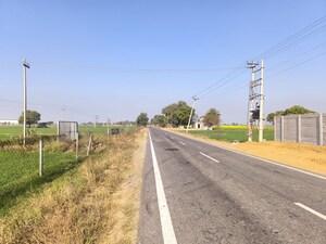 Plot Area in  Land at Pataudi – for Sale