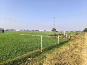 Plot Area in  Land at Pataudi – for Sale