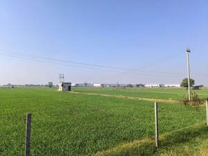Plot Area in  Land at Pataudi – for Sale