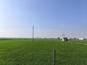 Plot Area in  Land at Pataudi – for Sale