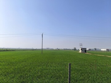 Plot Area in  Land at Pataudi – for Sale