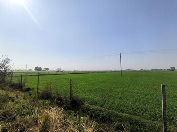 Plot Area in  Land at Pataudi – for Sale