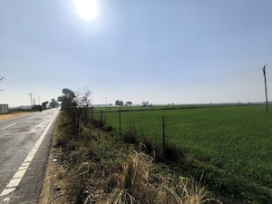  Land For Sale in Pataudi