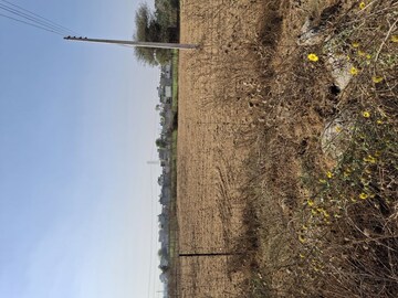 Plot Area in  Plot at Bhopani – for Sale