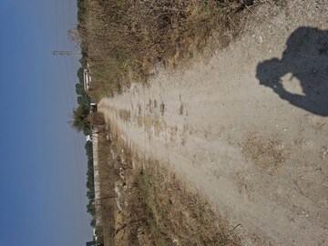 Plot Area in  Plot at Bhopani – for Sale