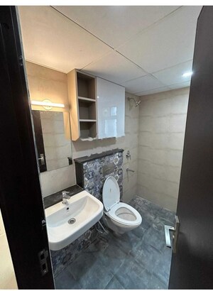 Bathroom in 2 BHK Apartment at Bren Northern Lights, Jakkuru – for Rent