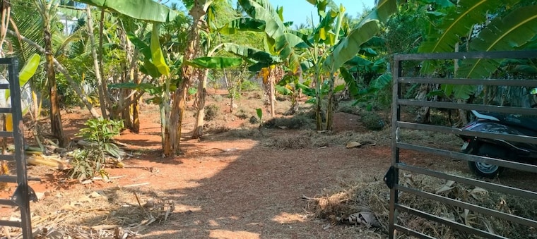 undefined, cheroor  3484 Sq.Ft. Plot In Cheroor Thrissur 10107601