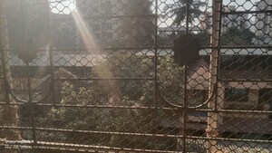 Bathroom in 2 BHK Apartment at Suraj Heritage, Owale – for Rent