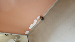 2 BHK Apartment For Rent in Puri Pratham, Sector 84