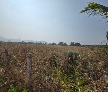  Plot For Sale in Patharadi Road