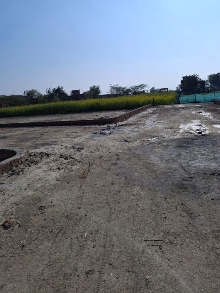 undefined, pocket 4a  1174 Sq.Ft. Plot In Pocket 4a Greater Noida 10108140