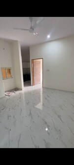 2 BHK 500 Sq.Yd. Builder Floor in Sector 81