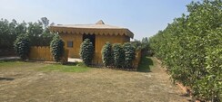 Plot For Sale in Sector 42