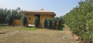  Plot For Sale in Sector 42