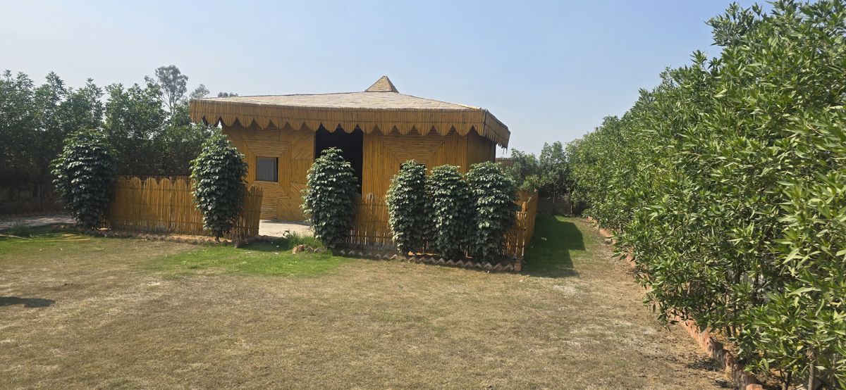 Plot For Sale in Sector 42