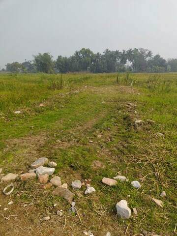 Plot Area in  Plot at Bishnupur – for Sale