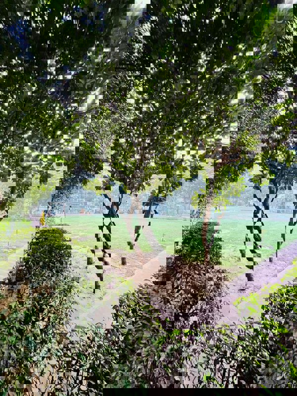 3 BHK 2000 Sq.Ft. Apartment in Vipul World Plots