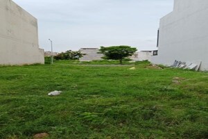 Plot Area in  Plot at Mullanpur – for Sale