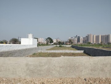  Plot For Sale in Sector 115