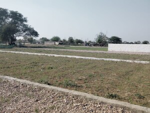 Plot Area in  Plot at Sector 115 – for Sale