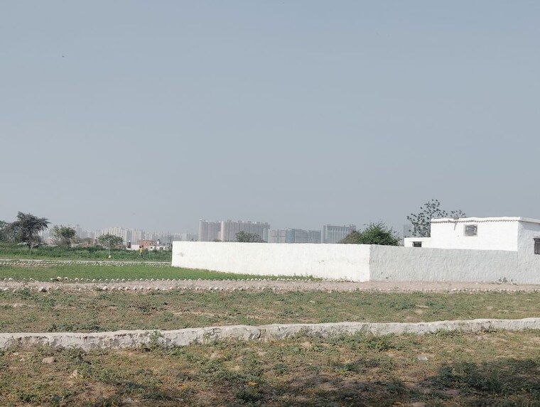 undefined, sector 115  100 Sq.Yd. Plot In Sector 115 Noida 10109314